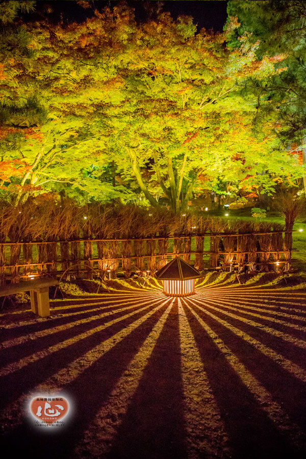 嵐山・宝厳院の紅葉写真「舞妓・花魁体験心」