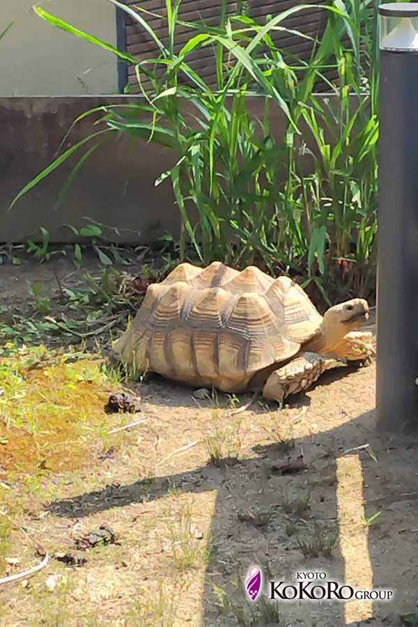 動物園