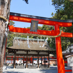 吉田神社