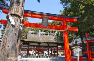 吉田神社